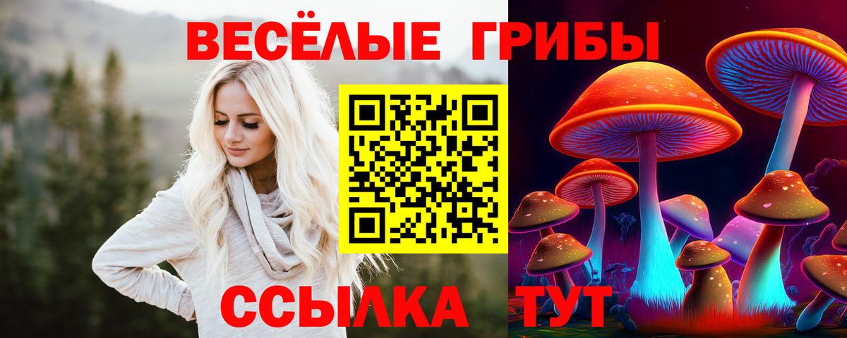Псилоцибиновые грибы мицелий  Галлюциногенные грибы ЛСД  Вход с VPN  Сафоново 